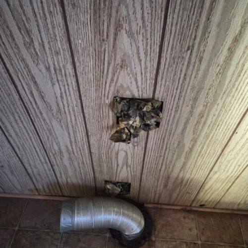 WhatsApp Image 2026-04-08 at 12.18.52 PM (1)